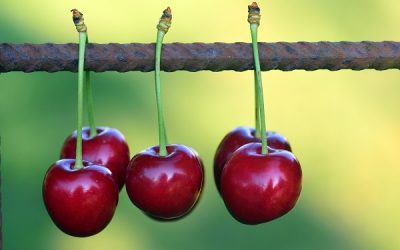 Get the Full Benefits of Marketing Automation