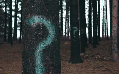New Lead – Yeah! Now What?