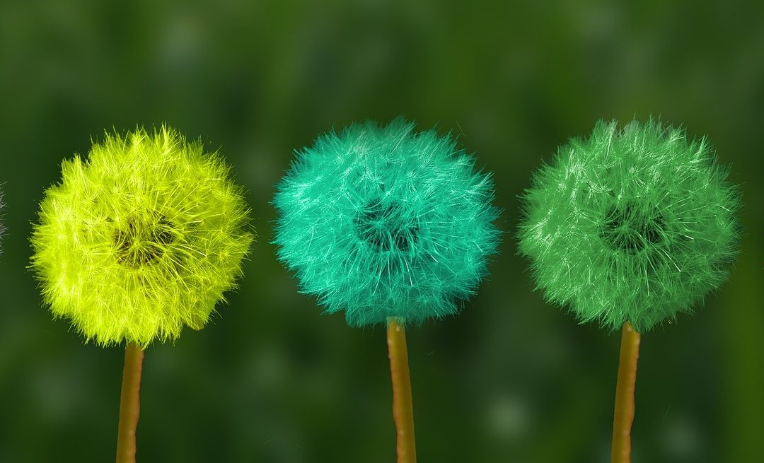 Marketing Changes to Consider Right Now