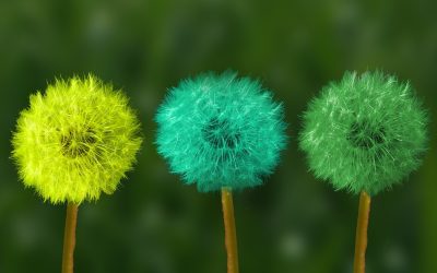 Marketing Changes to Consider Right Now