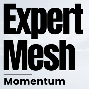 ExpertMesh Momentum Build with Site Sprint
