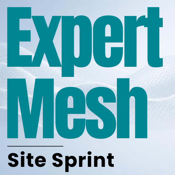 ExpertMesh Site Sprint