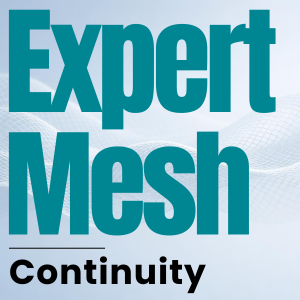 ExpertMesh Momentum Continuity